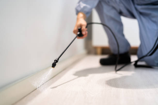 Licensed Pest Control service in Silverthorne, CO - Show Me Pest Control