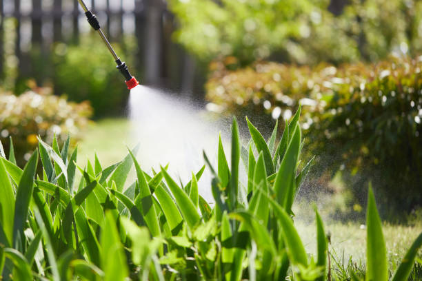 24/7 Emergency Mosquito Control experts in Silverthorne, CO