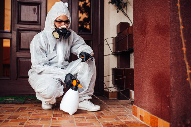 Reliable Mosquito Control contractor in Silverthorne, CO by Show Me Pest Control